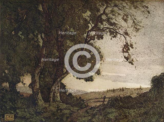 'The Drooping Ash', c1910. Artist: Alfred Hartley.