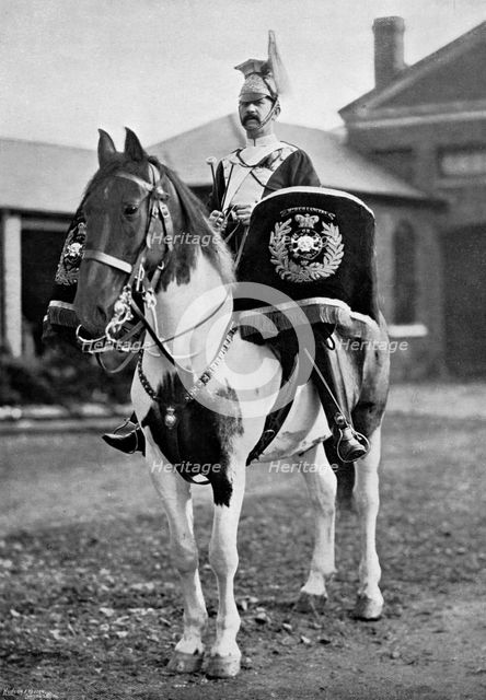 The drum horse of the 17th Lancers, 1896. Artist: Gregory & Co
