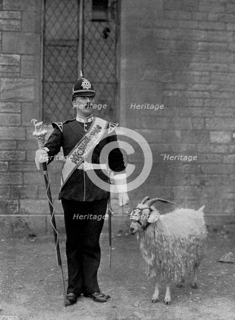 The Drum Major and goat of the 1st Battalion the Welch Regiment, 1896. Artist: WM Crockett