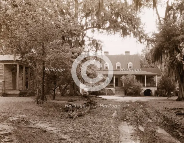 "The Eutaw," William Henry Sinkler house, Eutawville vicinity, Berkeley County, South Carolina, 1938 Creator: Frances Benjamin Johnston.