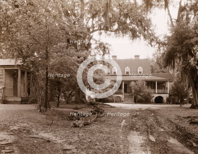 "The Eutaw," William Henry Sinkler house, Eutawville vicinity, Berkeley County, South Carolina, 1938 Creator: Frances Benjamin Johnston.