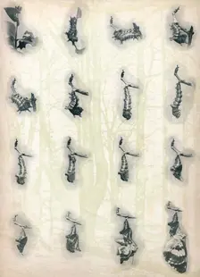 The Evolution of a Caterpillar c1910, (1911). Artist: Alfred Harold Bastin