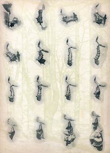 The Evolution of a Caterpillar c1910, (1911). Artist: Alfred Harold Bastin
