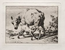 The Ewe with Two Lambs, 1850. Creator: Charles Meryon (French, 1821-1868)
