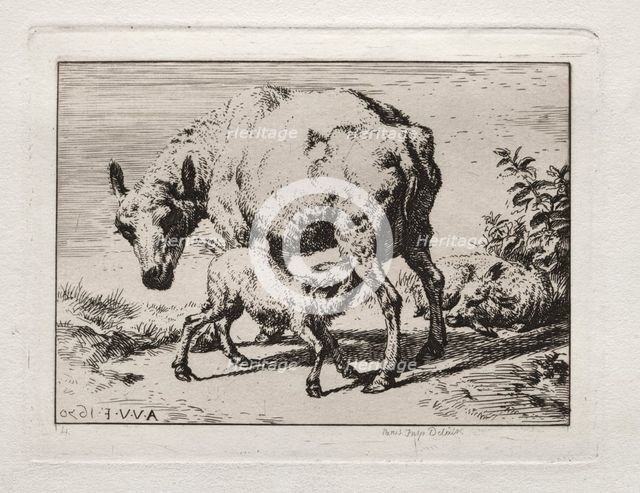 The Ewe with Two Lambs, 1850. Creator: Charles Meryon (French, 1821-1868).
