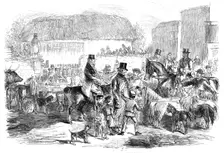 The Exmoor Pony Fair at Bampton, Devon, 1860. Creator: Unknown