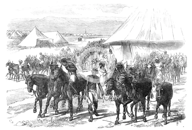 The Expedition to Abyssinia: mules and mule drivers, 1868. Creator: C. R..