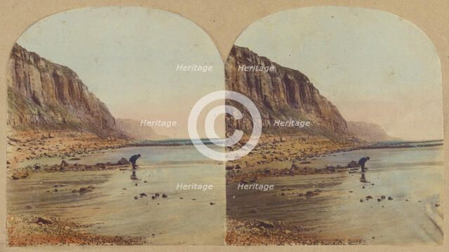 The East Cliff, Hastings., 1860s. Creator: William Russell Sedgfield.