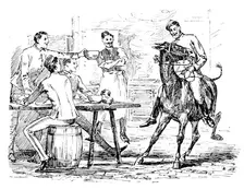 The Easter Volunteer Manoeuvres: the transport mule comes to tea with us in the cook house, 1890. Creator: Unknown
