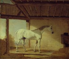 The Earl of Coventry's Horse, 1805. Creator: Benjamin Marshall