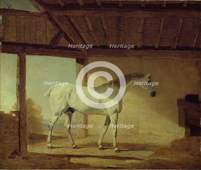 The Earl of Coventry's Horse, 1805. Creator: Benjamin Marshall.