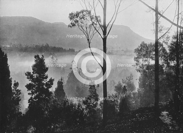 'The Early Morning Mist Rising at Nuwara Eliya', c1890, (1910). Artist: Alfred William Amandus Plate.