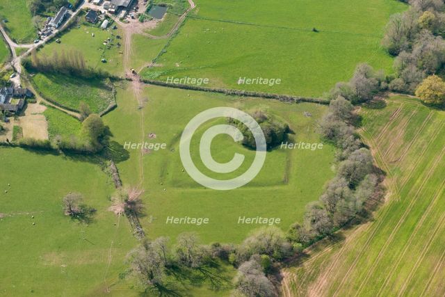The earthwork remains of Newton Tump, a medieval motte and bailey, Herefordshire, 2016. Creator: Damian Grady.