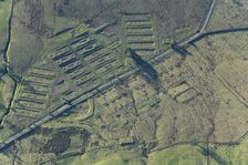 The earthwork remains of Leighton Construction Camp, Breary Banks, North Yorkshire, 2025. Creator: Robyn Andrews