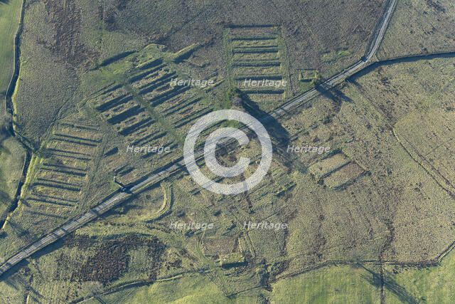 The earthwork remains of Leighton Construction Camp, Breary Banks, North Yorkshire, 2025. Creator: Robyn Andrews.