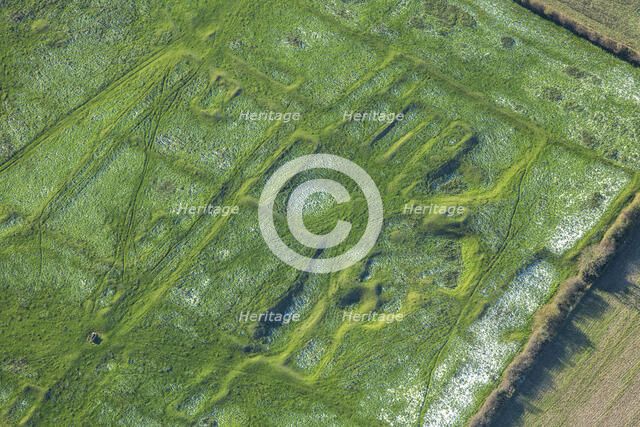 The earthwork remains of part of the deserted medieval village of Gainsthorpe...Lincolnshire, 2024 Creator: Robyn Andrews.