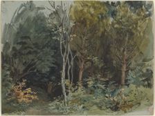 The Edge of a Wood at Nohant, c. 1842/1843. Creator: Eugene Delacroix