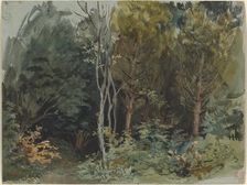 The Edge of a Wood at Nohant, c. 1842/1843. Creator: Eugene Delacroix