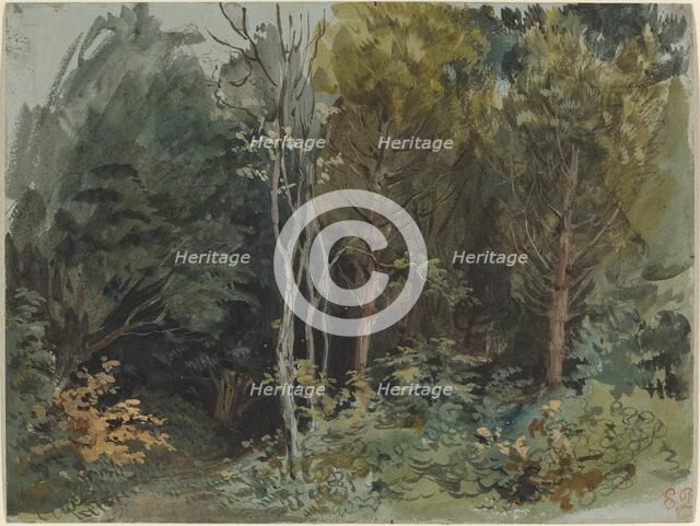 The Edge of a Wood at Nohant, c. 1842/1843. Creator: Eugene Delacroix.
