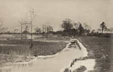 The Edge of the Broad, 1890-1891, printed 1893. Creator: Dr Peter Henry Emerson