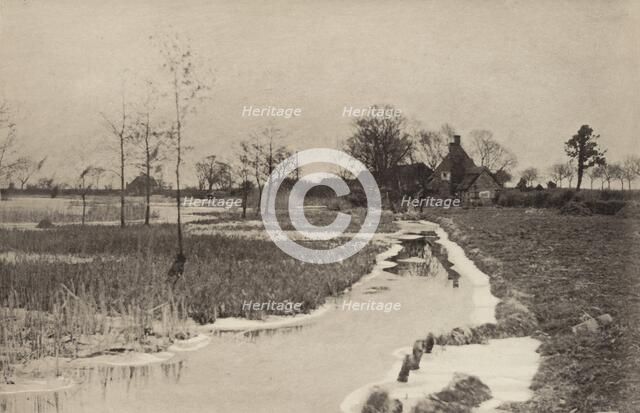 The Edge of the Broad, 1890-1891, printed 1893. Creator: Dr Peter Henry Emerson.