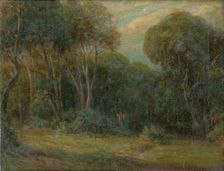 The Edge Of The Forest, 1908. Creator: Ludovit Cordak