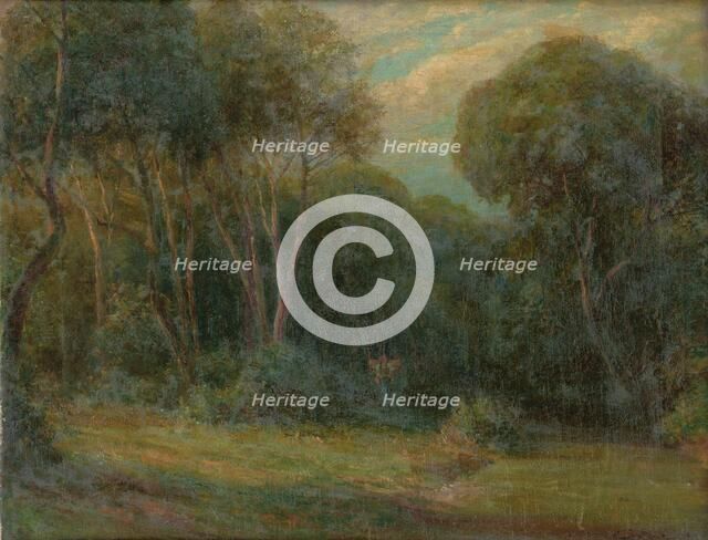 The Edge Of The Forest, 1908. Creator: Ludovit Cordak.