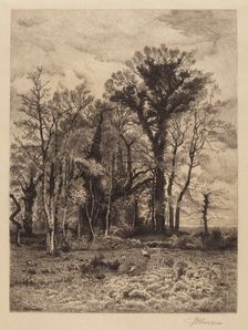 The Edge of the Swamp, 1886. Creator: Peter Moran