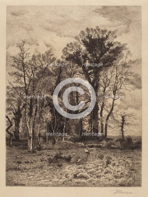 The Edge of the Swamp, 1886. Creator: Peter Moran.