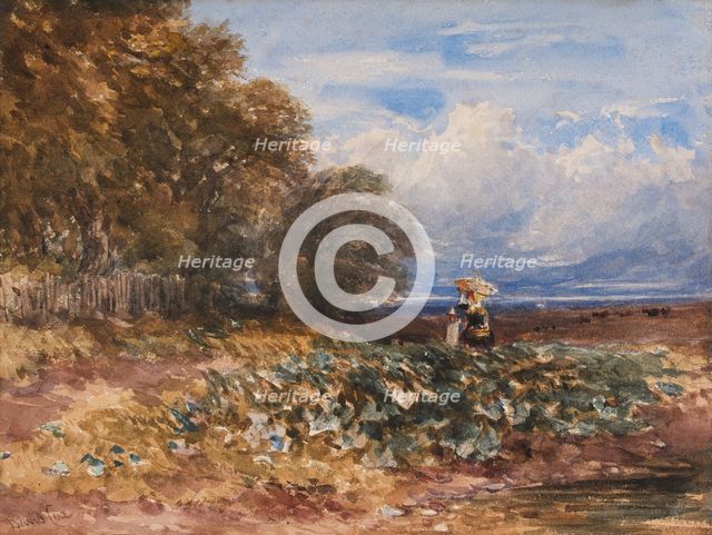 The Edge of the Wood, c1830s. Creator: David Cox the Elder.