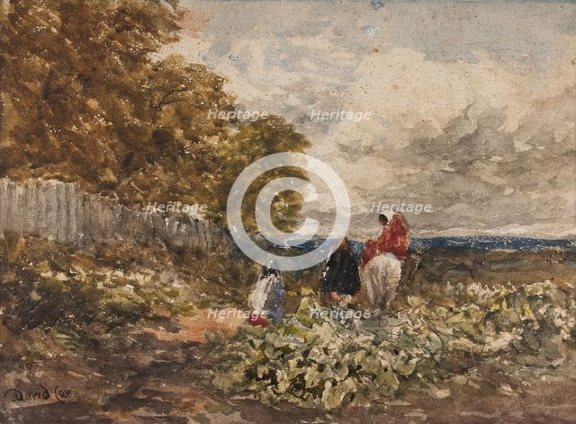 The Edge of the Wood, c1830s. Creator: David Cox the Elder.