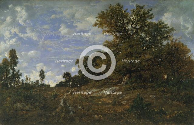 The Edge of the Woods at Monts-Girard, Fontainebleau Forest, 1852-54. Creator: Theodore Rousseau.