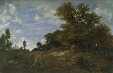 The Edge of the Woods at Monts-Girard, Fontainebleau Forest, 1852-54. Creator: Theodore Rousseau