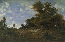 The Edge of the Woods at Monts-Girard, Fontainebleau Forest, 1852-54. Creator: Theodore Rousseau