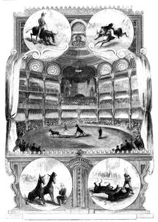 The Educated Mules at the Alhambra Palace, 1858. Creator: Unknown
