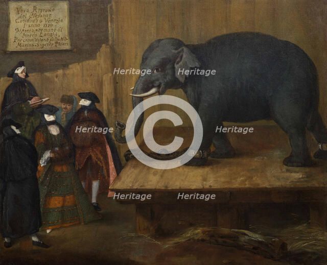 The Elephant, 1774.