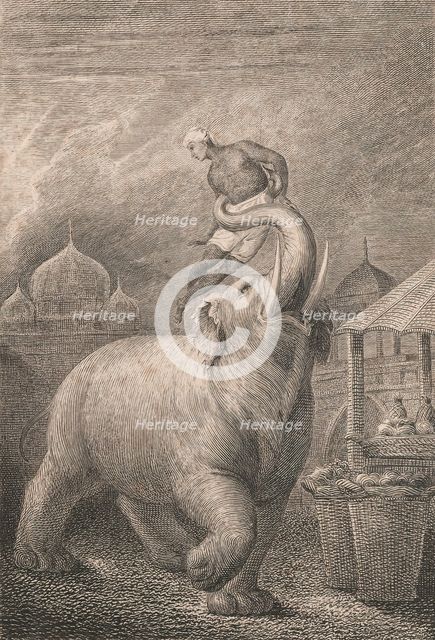 The Elephant, 1802.  Creator: William Blake.