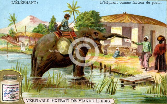 The Elephant as postman, c1900. Artist: Unknown