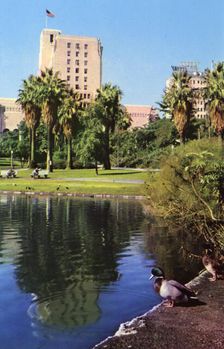 The Elks Club From MacArthur Park, Los Angeles, California, USA, 1953