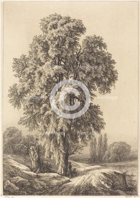 The Elm Tree, 1840. Creator: Eugene Blery.