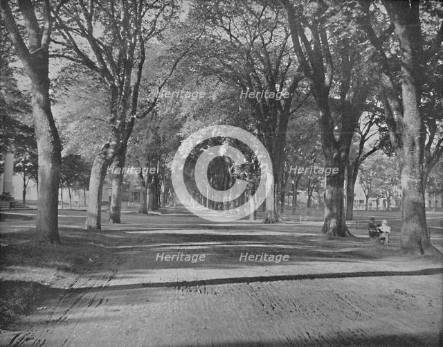 'The Elms," New Haven, Conn.', c1897. Creator: Unknown.