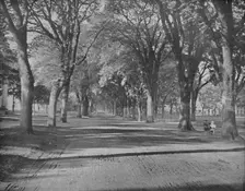 The Elms," New Haven, Conn. c1897. Creator: Unknown