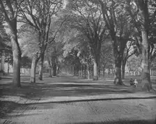 The Elms New Haven, Connecticut, USA, c1900. Creator: Unknown