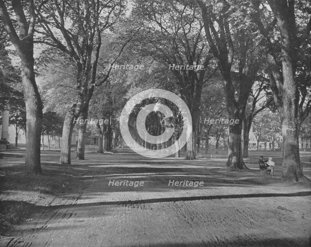 'The Elms', New Haven, Connecticut, USA, c1900.  Creator: Unknown.