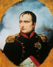 The Emperor Napoleon I 1815. Creator: Émile Jean-Horace Vernet