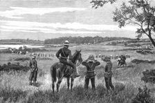 'The English Expedition to Witu, East Africa, to Punish the Natives for the Murder of Nine German O Creator: Unknown