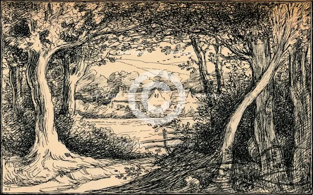 'The End of the Glade, Epping Forest', c1900. Artist: Selwyn Image.