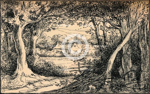 'The End of the Glade, Epping Forest', c1900. Artist: Selwyn Image.