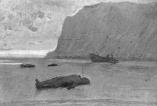 The End of a German Plane; An enemy plane, a twin-engine gotha..., 1917. Creator: Unknown