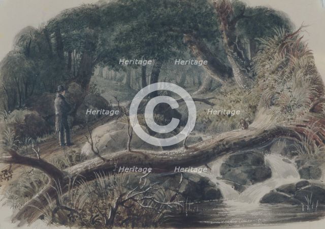 The Entrance to a Wood, 1836. Creator: Robert Walter Weir.